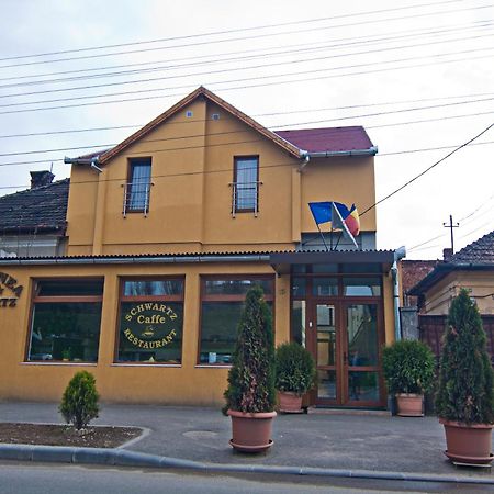 Pensiunea Schwartz Cluj-Napoca Exterior foto