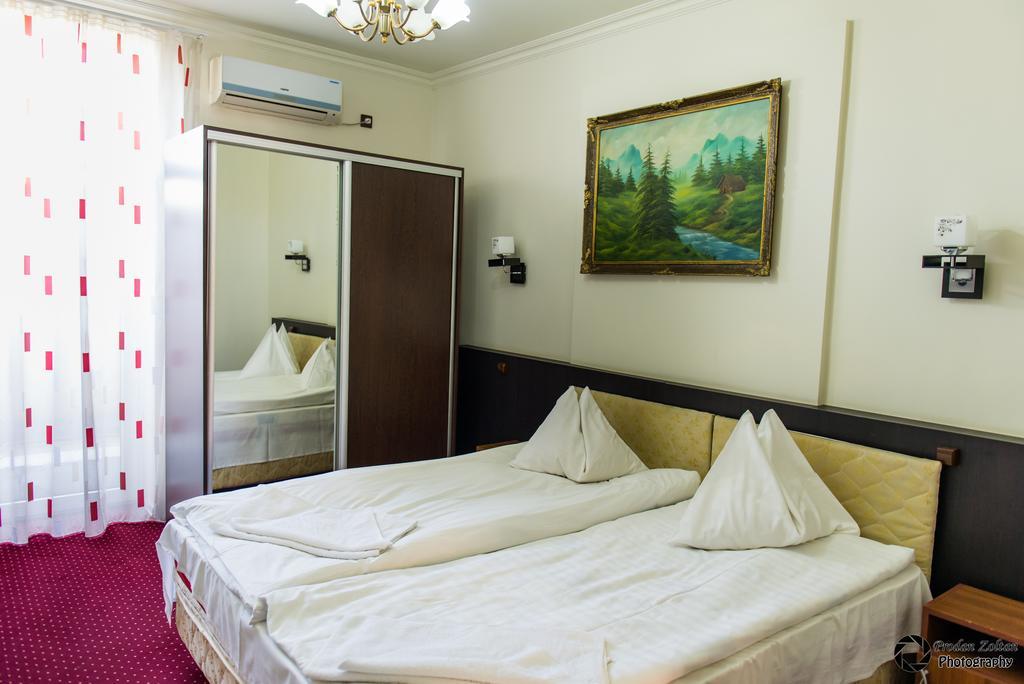 Pensiunea Schwartz Cluj-Napoca Exterior foto
