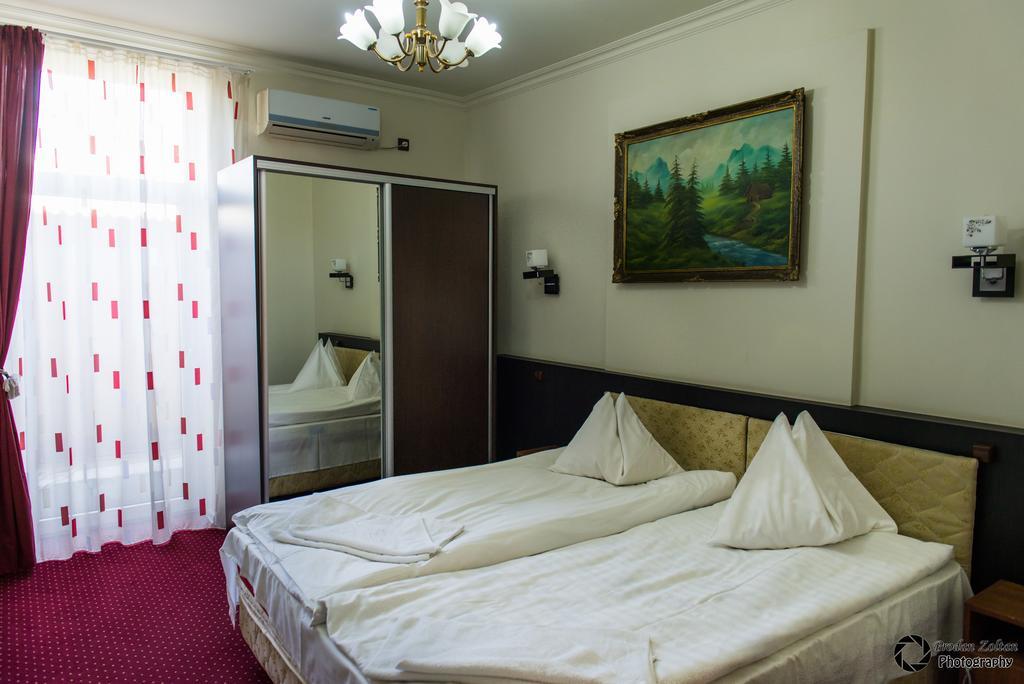 Pensiunea Schwartz Cluj-Napoca Exterior foto