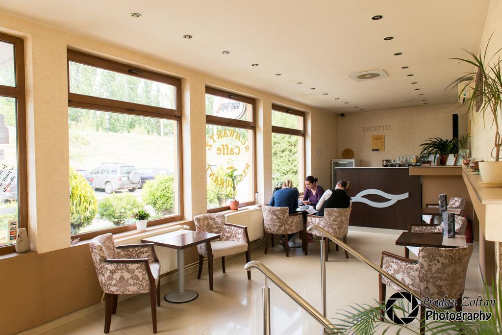 Pensiunea Schwartz Cluj-Napoca Exterior foto