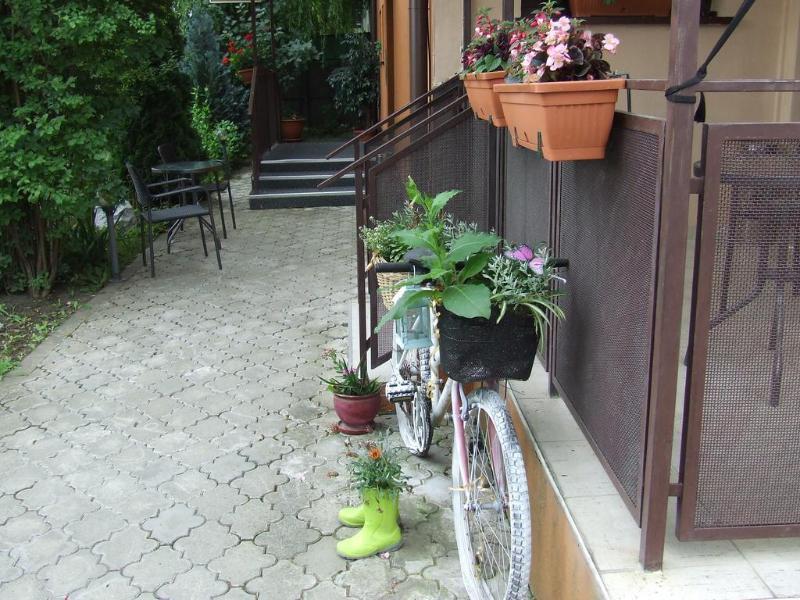Pensiunea Schwartz Cluj-Napoca Exterior foto